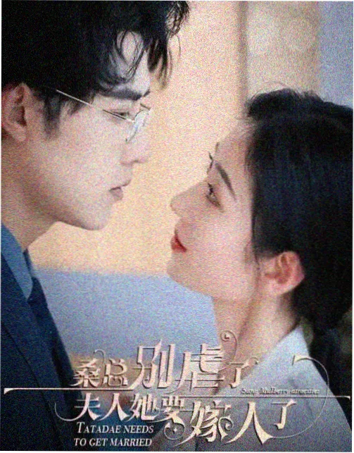 免费追剧软件在线观看无声证词